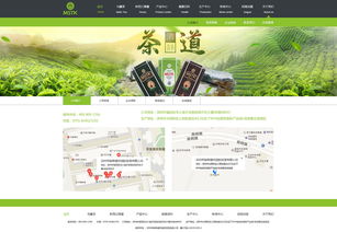 1992714nm企业官网设计案例分享